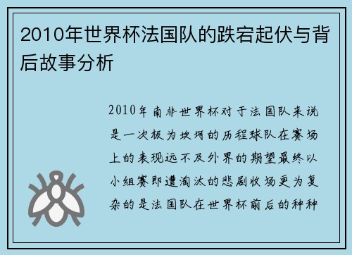 2010年世界杯法国队的跌宕起伏与背后故事分析